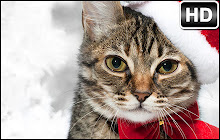 Christmas Puppies & Kittens NewTab small promo image