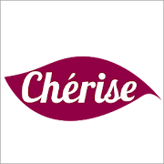 Cherise Business  Icon