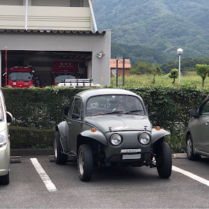 ビートル