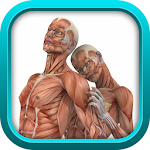 PHYSIOLOGY TEST PREP GAME APP Apk