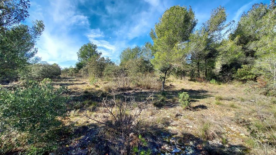 Vente terrain  5580 m² à Cabrières-d'Avignon (84220), 28 000 €