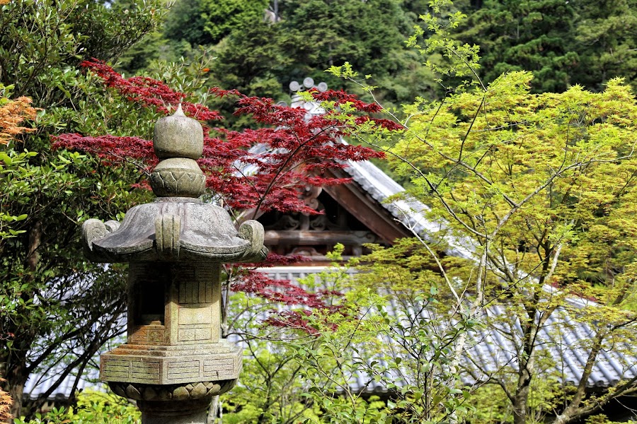 Miyajima, Itsukushima, świątynia Daisho-in