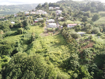 terrain à batir à Le marigot (972)