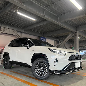 RAV4 AXAP54