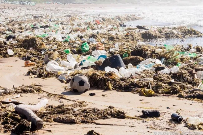 WWF poziva na nastavak borbe protiv zagađenja plastikom