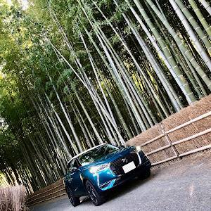 DS3 クロスバック D34HN05