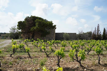 terrain à La Palme (11)