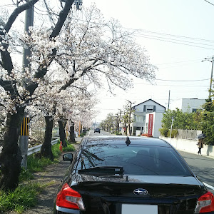 WRX STI VAB