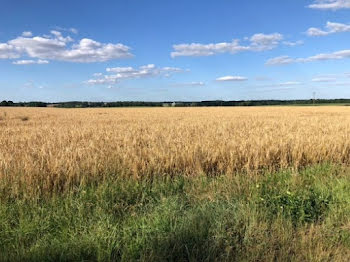 terrain à Orbigny (37)