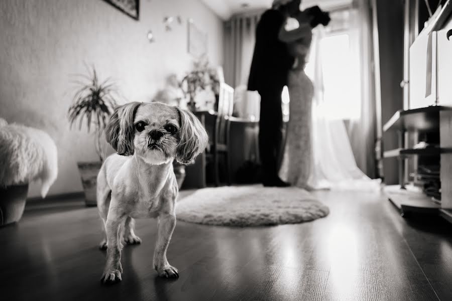 Fotografer pernikahan Vyacheslav Samosudov (samosudov). Foto tanggal 4 Oktober 2018