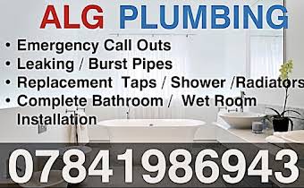 ALG PLUMBING album cover