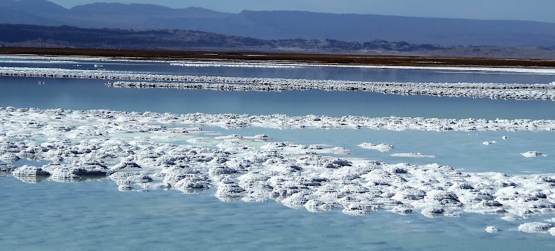 LAGUNA CEJAR, OJOS DEL SALAR Y LAGUNA TEBINQUINCHE.ATACAMA - CHILE: Atacama ( con extensión a Uyuni) y Carretera Austral (5)