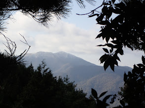 綿向山の霧氷