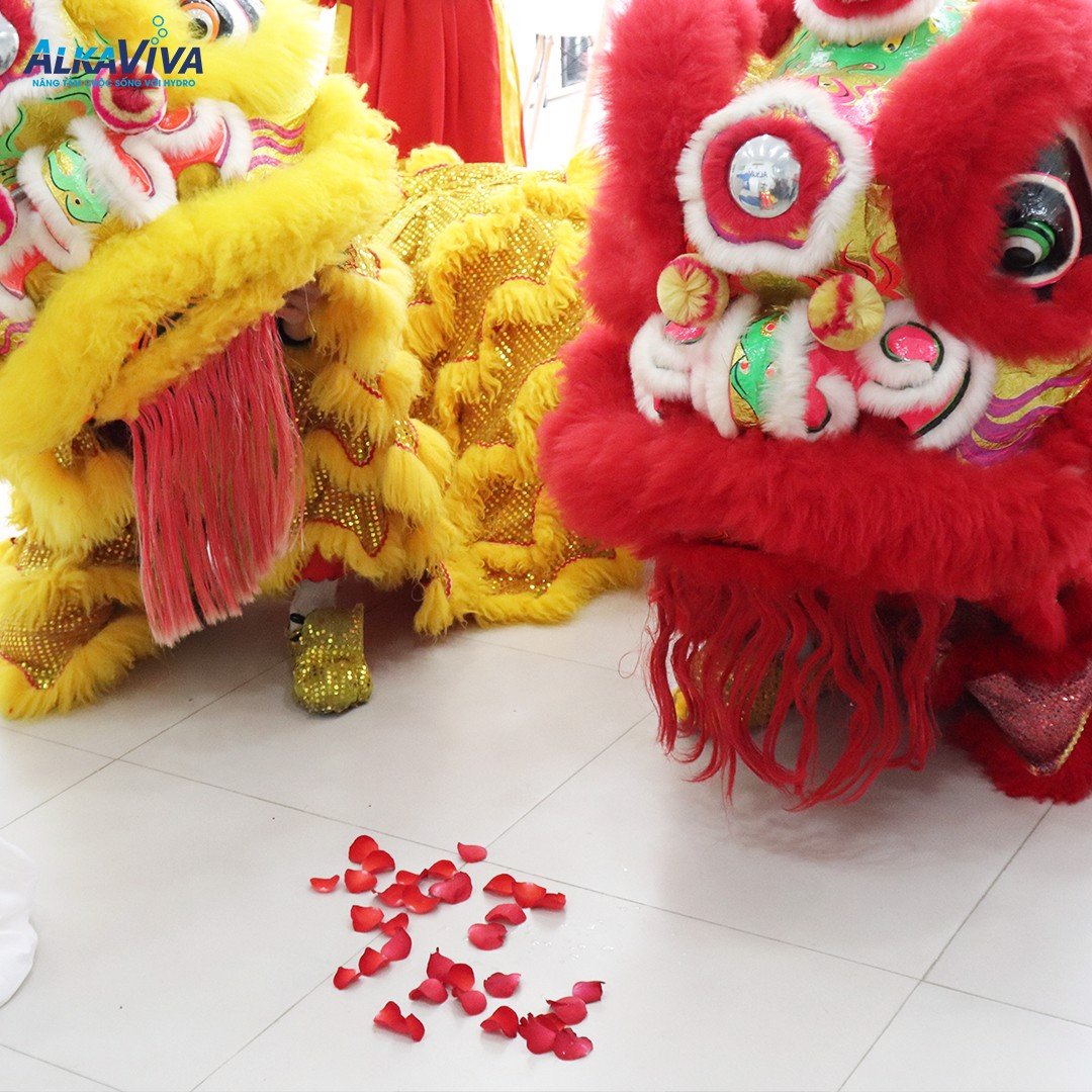 KHAI TRƯƠNG ĐẠI LÝ ĐỘC QUYỀN CHÍNH THỨC KHU VỰC THÀNH PHỐ THỦ ĐỨC CỦA ALKAVIVA VIỆT NAM