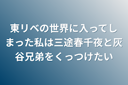 東リベの世界に入ってしまった私は三途春千夜と灰谷兄弟をくっつけたい