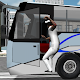 Real Bus Simulator : World