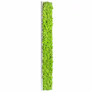 Tableau végétal stabilisé Lichen vert citron 170 x 20 cm