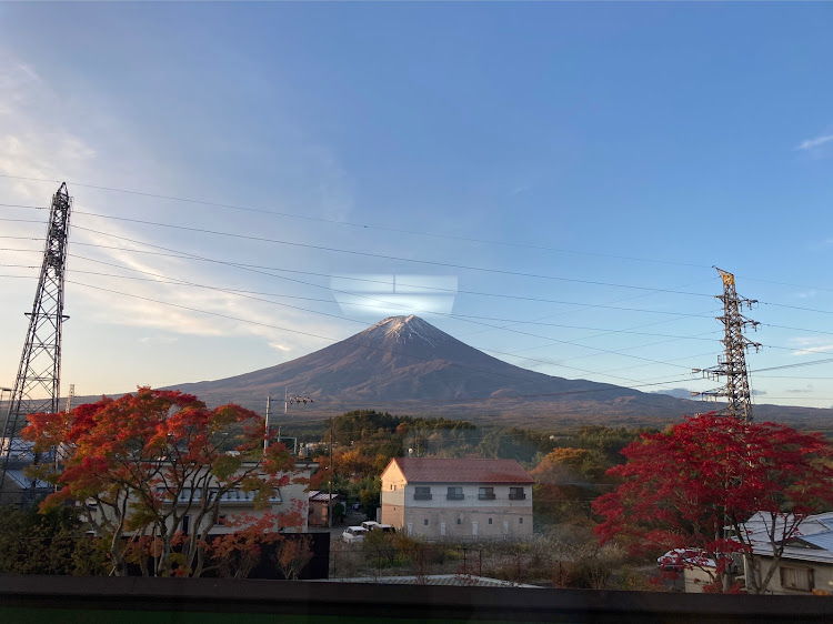 の投稿画像4枚目