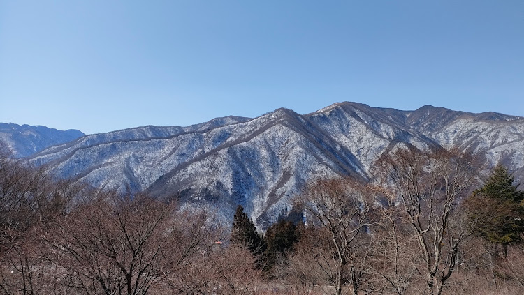 の投稿画像15枚目