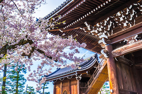 Travel Note of Kyoto for Cherry Blossoms Part 4: Takenaka ...