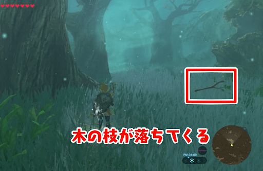 ゼルダBotW_トッチーより先回りして進む08