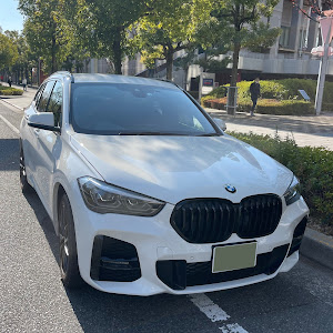 X1 xDrive 18d