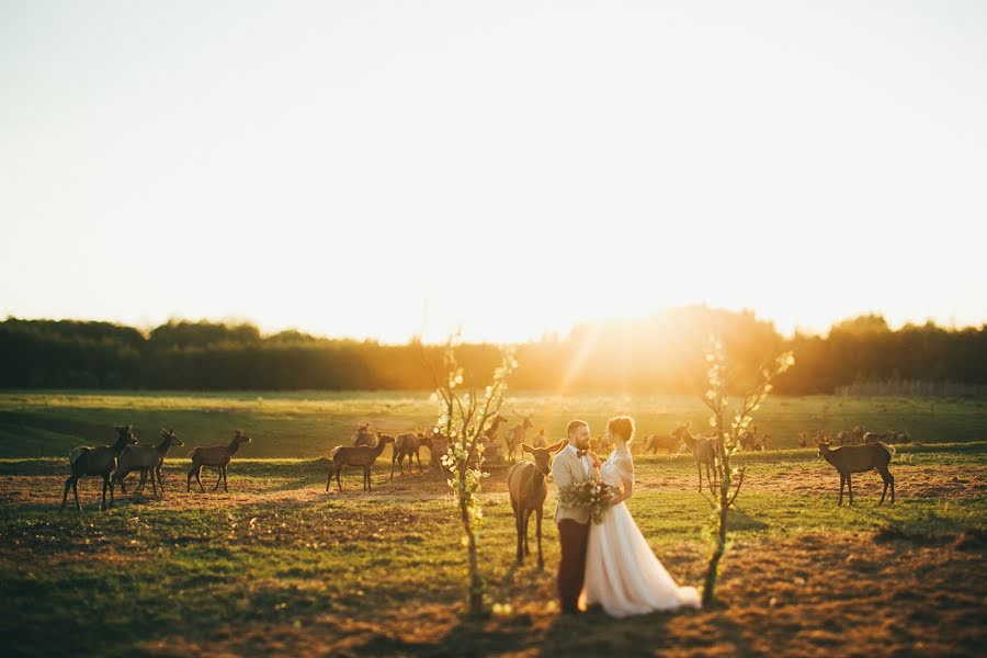 Fotógrafo de casamento Evgeniy Karimov (p4photo). Foto de 8 de junho 2016