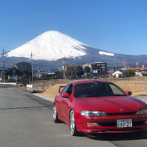 カレン ST206