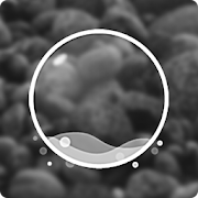 Snowglobes Monotone Icon Pack for Nova Apex ADW