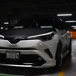 C-HR ZYX10