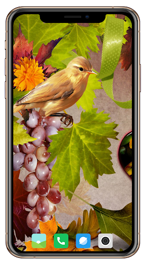 All Seasons Wallpaper