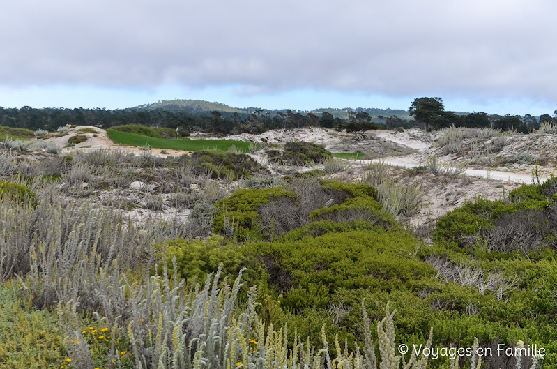 17-mile Drive Monterey