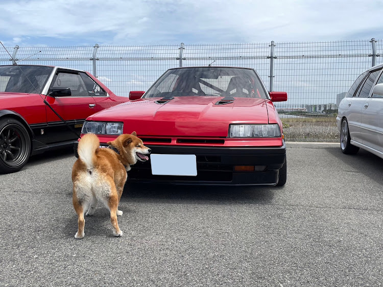 スカイラインのスカイライン・R30・ロクミーでお会いしましょう・堺浜ゆるゆるグダグダオフ会・しばいぬに関するカスタム事例の投稿画像3枚目