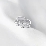 Ring Only