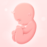 My Pregnancy - Baby Tracker icon