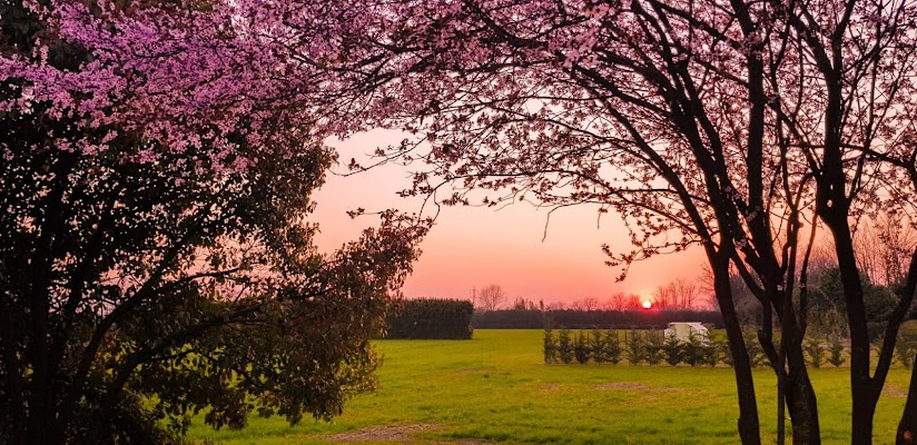 La magia della Primavera di Trifani