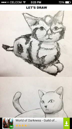 How to Draw Cat