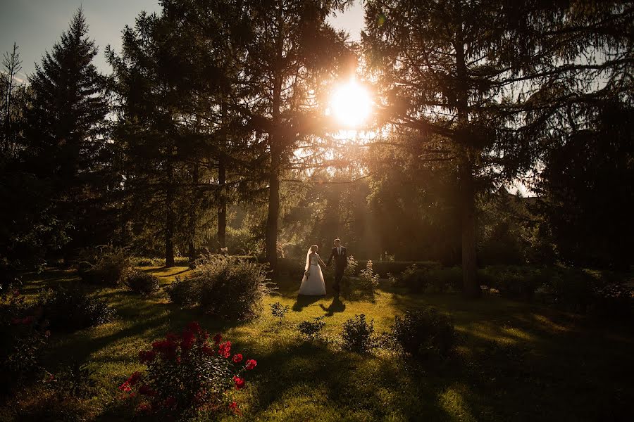 Düğün fotoğrafçısı Natalya Panchetovskaya (natalieesi). 3 Ekim 2017 fotoları