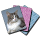 Kitty cat cards mahjong