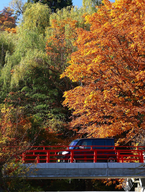 タントカスタムの紅葉ドライブ・紅葉と愛車・四季を感じて・赤い橋・discover＿ctに関するカスタム事例の投稿画像1枚目