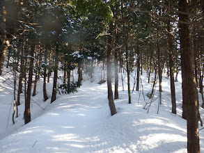 登りに