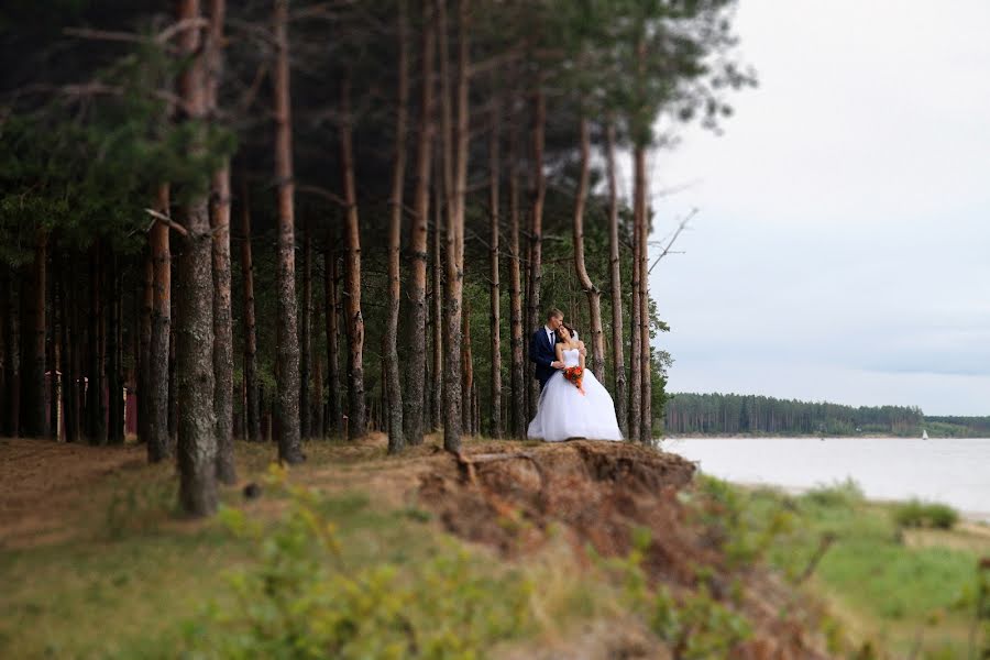 Wedding photographer Sergey Red (doors). Photo of 10 February 2019