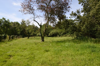 terrain à Camblanes-et-Meynac (33)