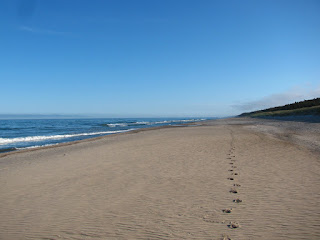 ainsad jäljed inimtühjal rannal - making tracks on the desrted beach