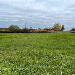 terrain à Saint-remy (24)