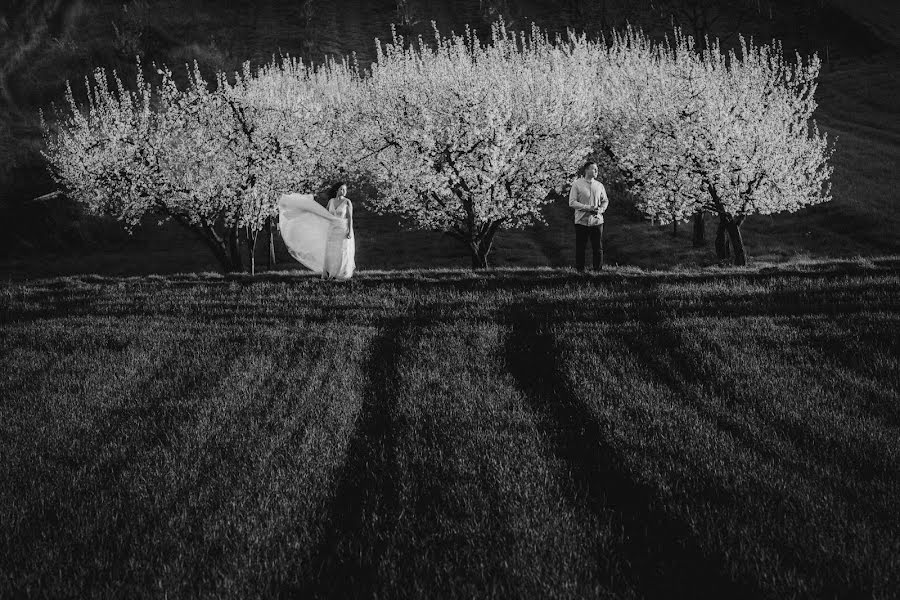 Photographe de mariage Piotr Pasiak (intothewed). Photo du 25 avril 2019