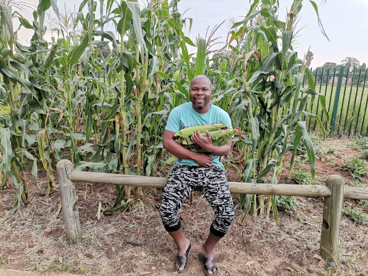 Joe Nkuna planted mielies, pumpkin and other crops at a nearby park after being granted permission by the site's manager.