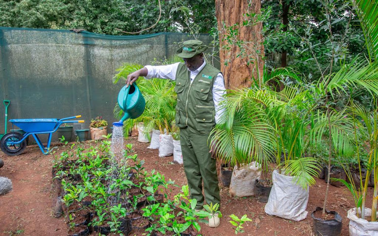 President William Ruto in Nairobi on September 3, 2023