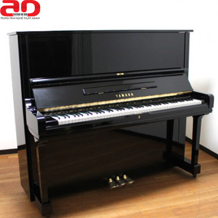 Đàn piano và Đàn organ khác nhau như thế nào