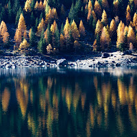 autunno a Campiccioli di annabarbi